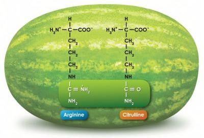 L-Citrulline AJI92/USP
